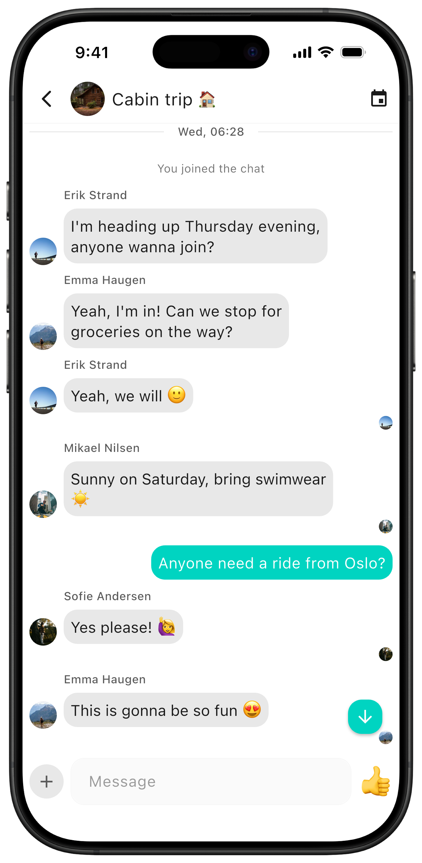 Chat thread for a cabin trip